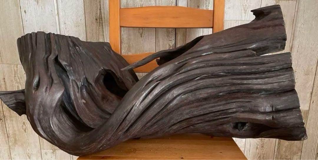 73cm 【大木 天然木 古根 オブジェ】古木 流線形