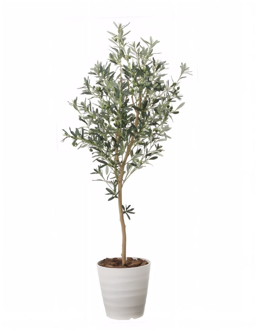 光触媒　人工観葉植物　フェイクグリーン　オリーブツリー 高さ 1.6m