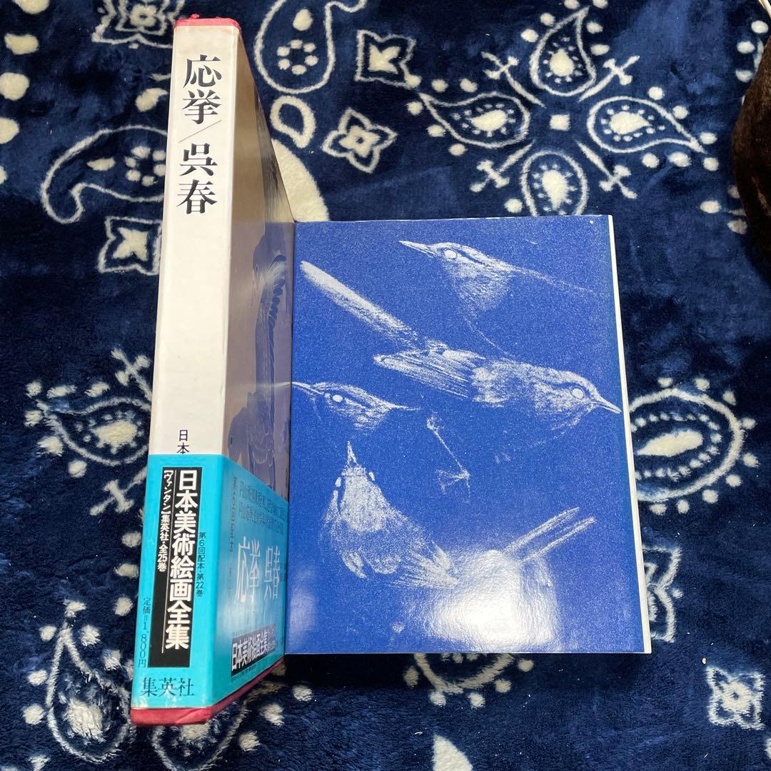 応挙/呉春 日本美術絵画全集 第25巻 集英社発行 - メルカリ