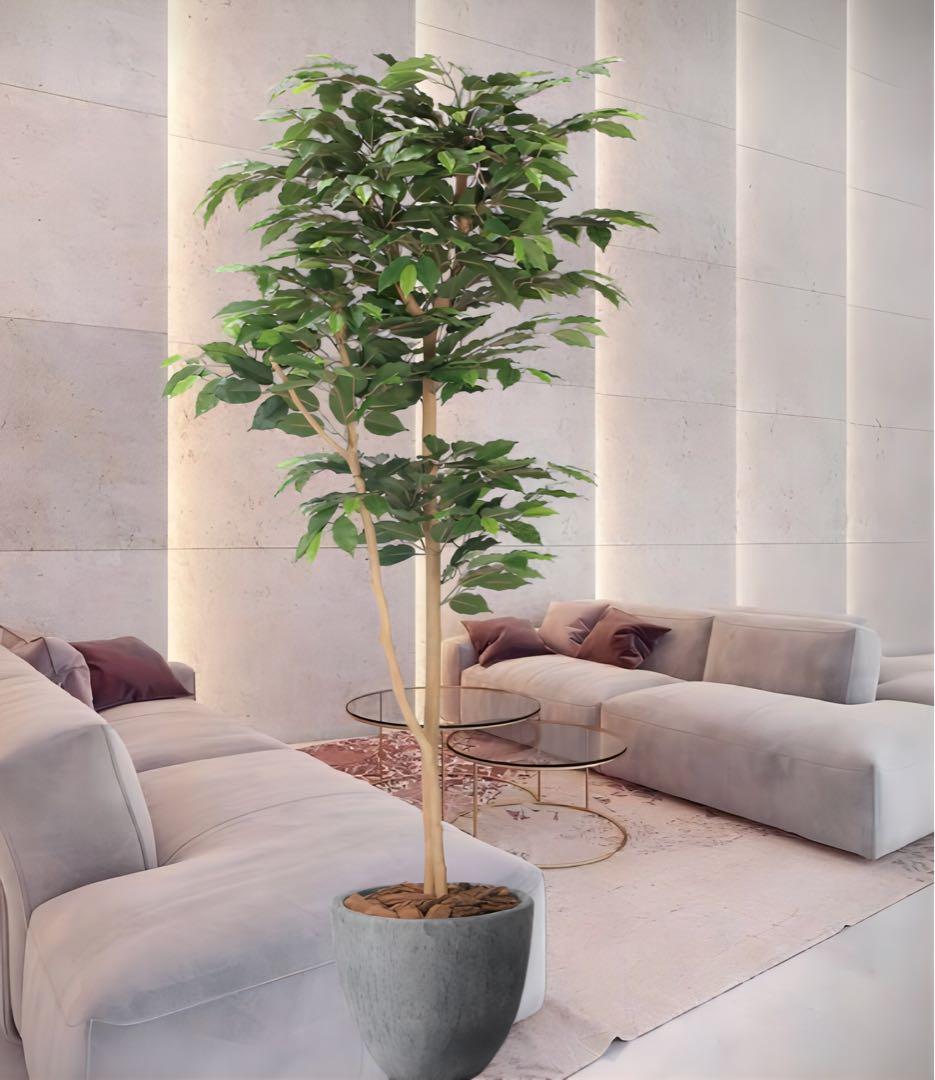 光触媒　人工観葉植物　フェイクグリーン　ナチュラルベンジャミン 1.6m