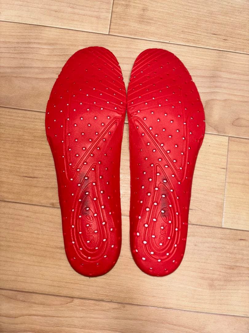 アシックス DS LIGHT アクロス プロ 3 24.5cm