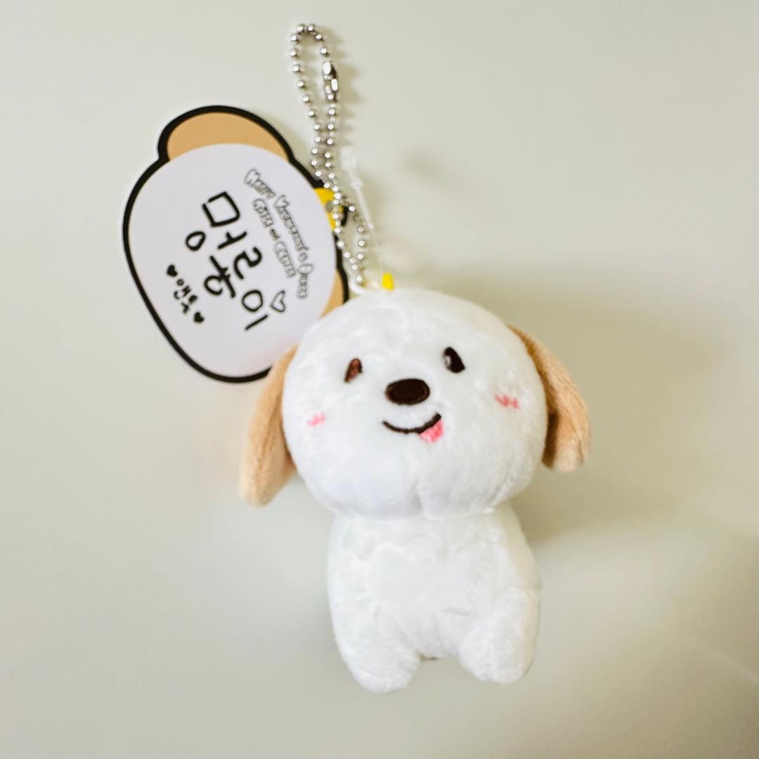 RIIZE ライズ 10cm ぬいぐるみ ドールキーリング アントン 公式 - メルカリ