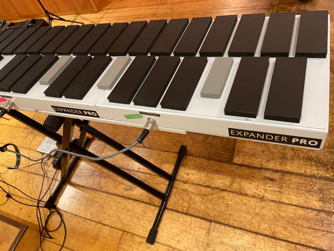 Alternate Mode vibeKAT 4オクターブ - メルカリ