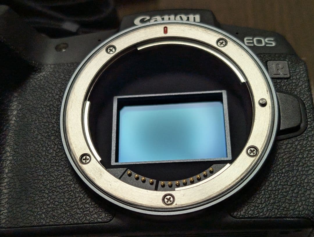 美品】Canon EOS RP ボディ ミラーレス一眼 おまけ付き