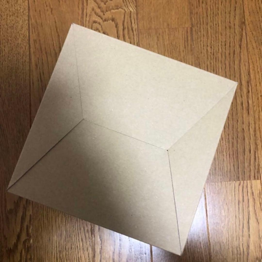 DEVISEWORKS デバデバの実 DEVASTAnoMI 白実