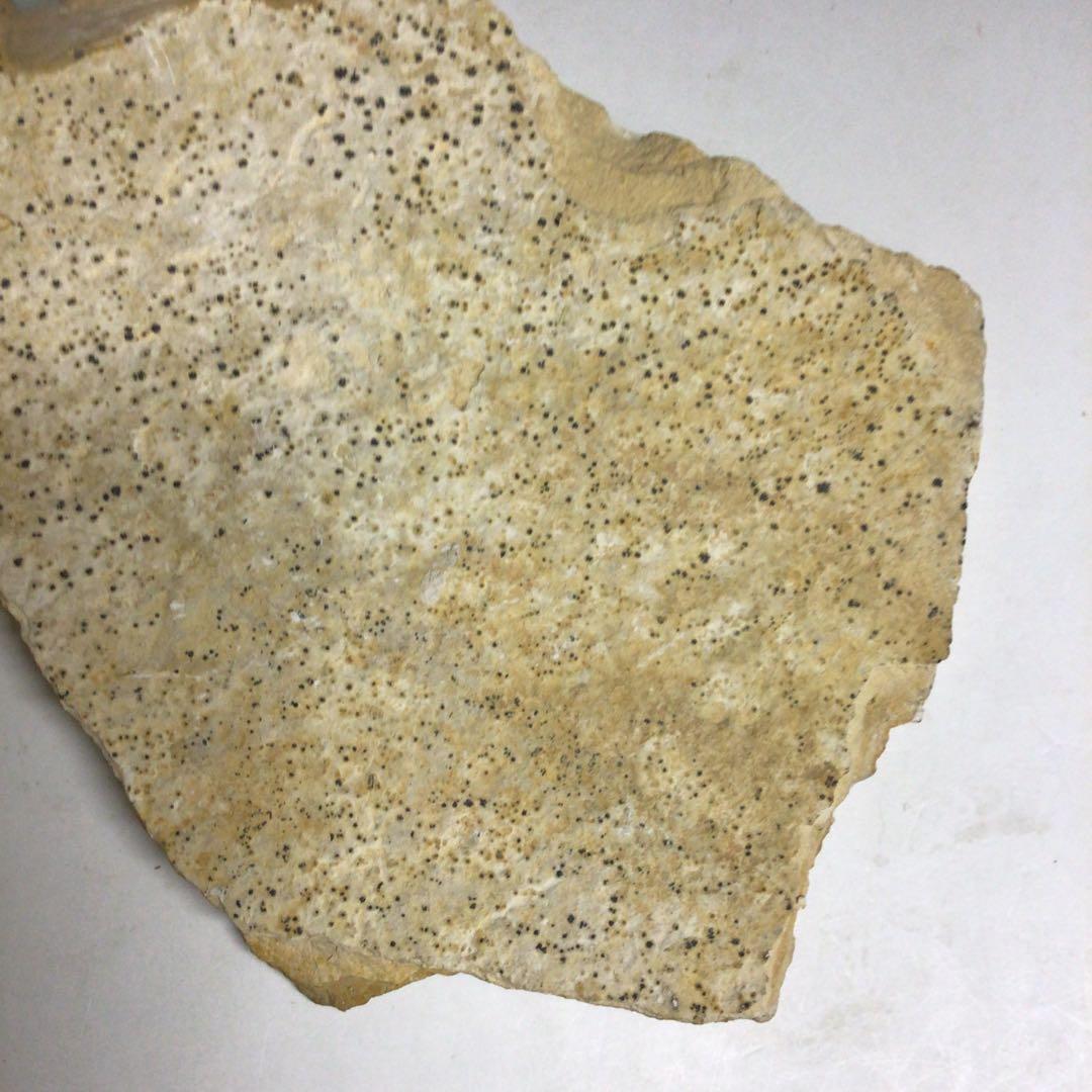 ☆ロシア正教 古代のキリスト肖像画の石片 イコン 石画 ☆ロシア正教