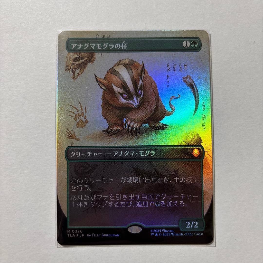 【FOIL】アナグマモグラの仔/Badgermole Cub フルアート　MTG FOIL] アナグマモグラの仔/Badgermole Cub (全面アート版) 【英語版