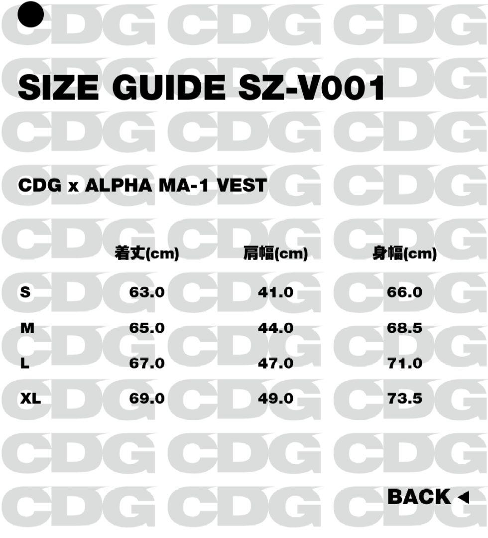 25aw 新品 sizeL CDG xALPHA INDUSTRIES VEST - メルカリ