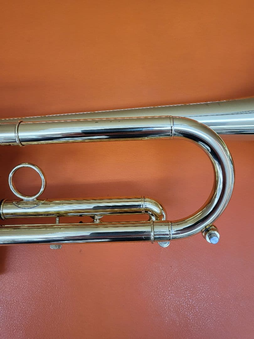 Carol Brass ZORRO C-line Cozy Special - メルカリ