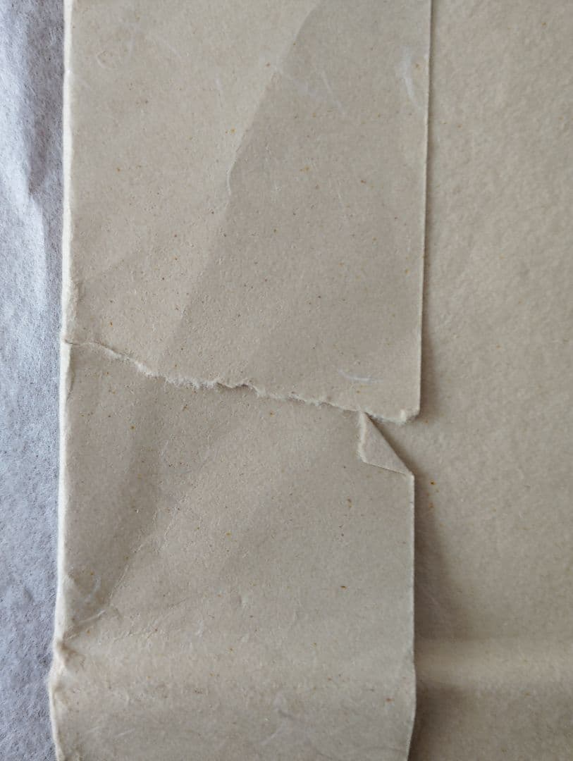 短冊 西陣綾錦織 斉藤宗原画12枚 - メルカリ