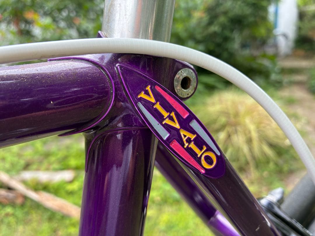 ビバロ ピスト 前後ブレーキで街乗り出来ます 引き取り限定 ビバロ