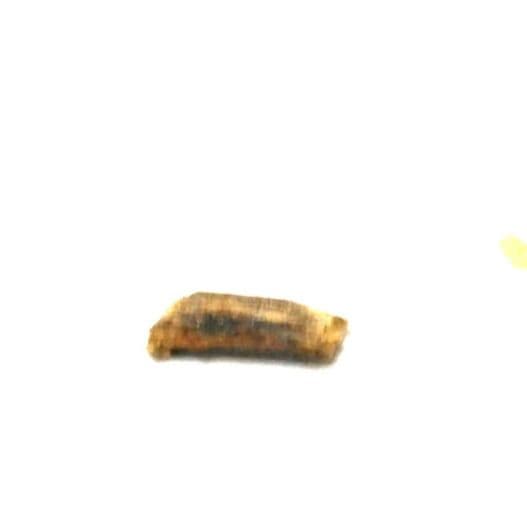 伽羅　紫油　0.16g