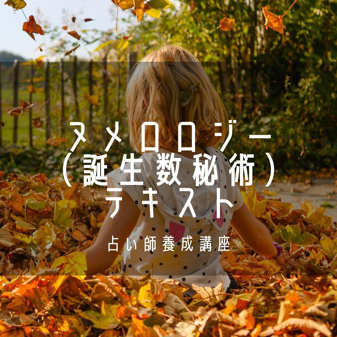 ★スピリチュアルリーダー養成セット: レイキ＆催眠＆占い★スピリチュアル上級