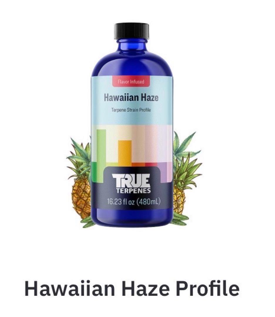 TRUE テルペン 香料 CBD CBN CBG 10ml キングルイ TRUE テルペン 香料