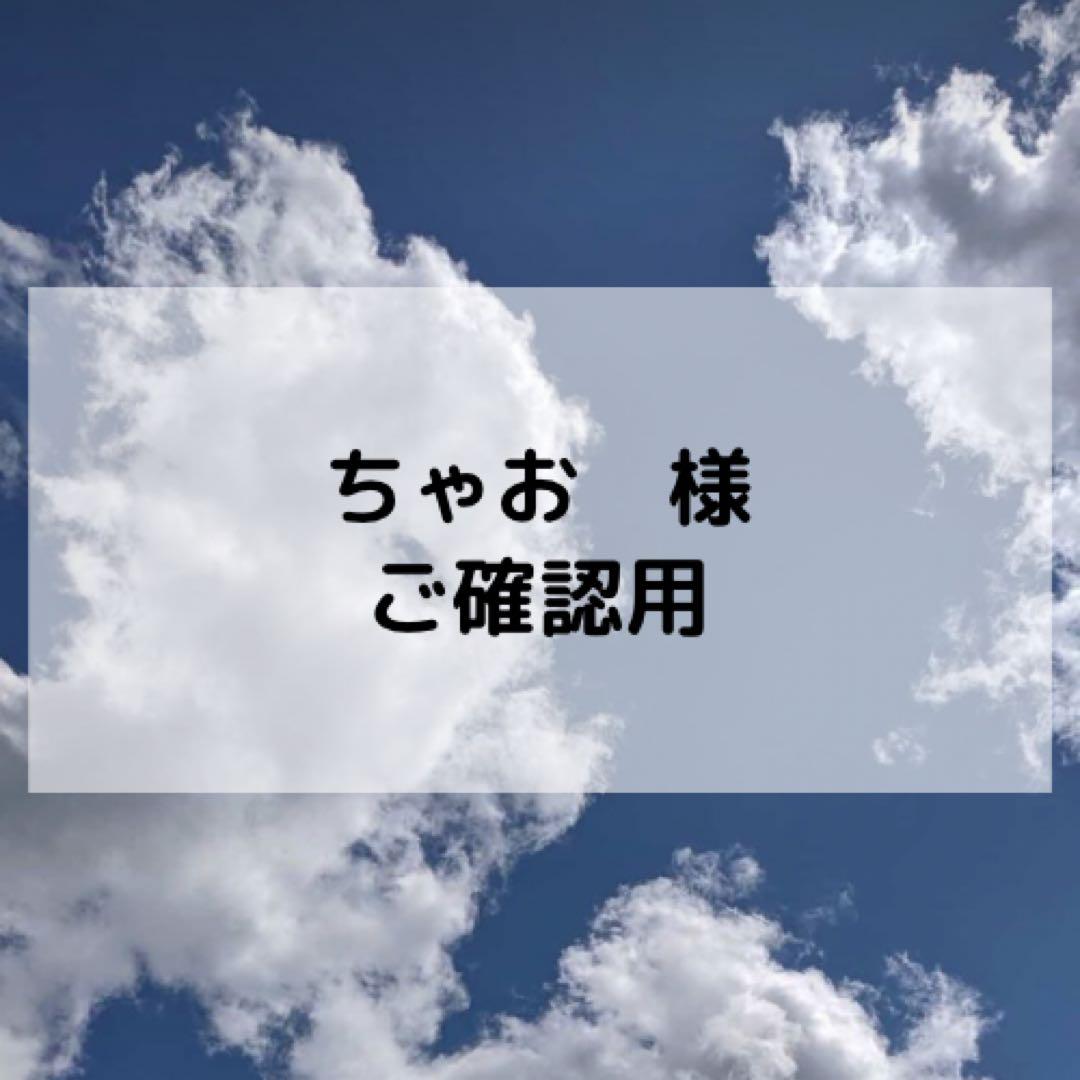 ちゃお様ご確認用ページ ちゃお様ご確認用ページ ちゃお」3月号の付録は春色チェック2WAYトート