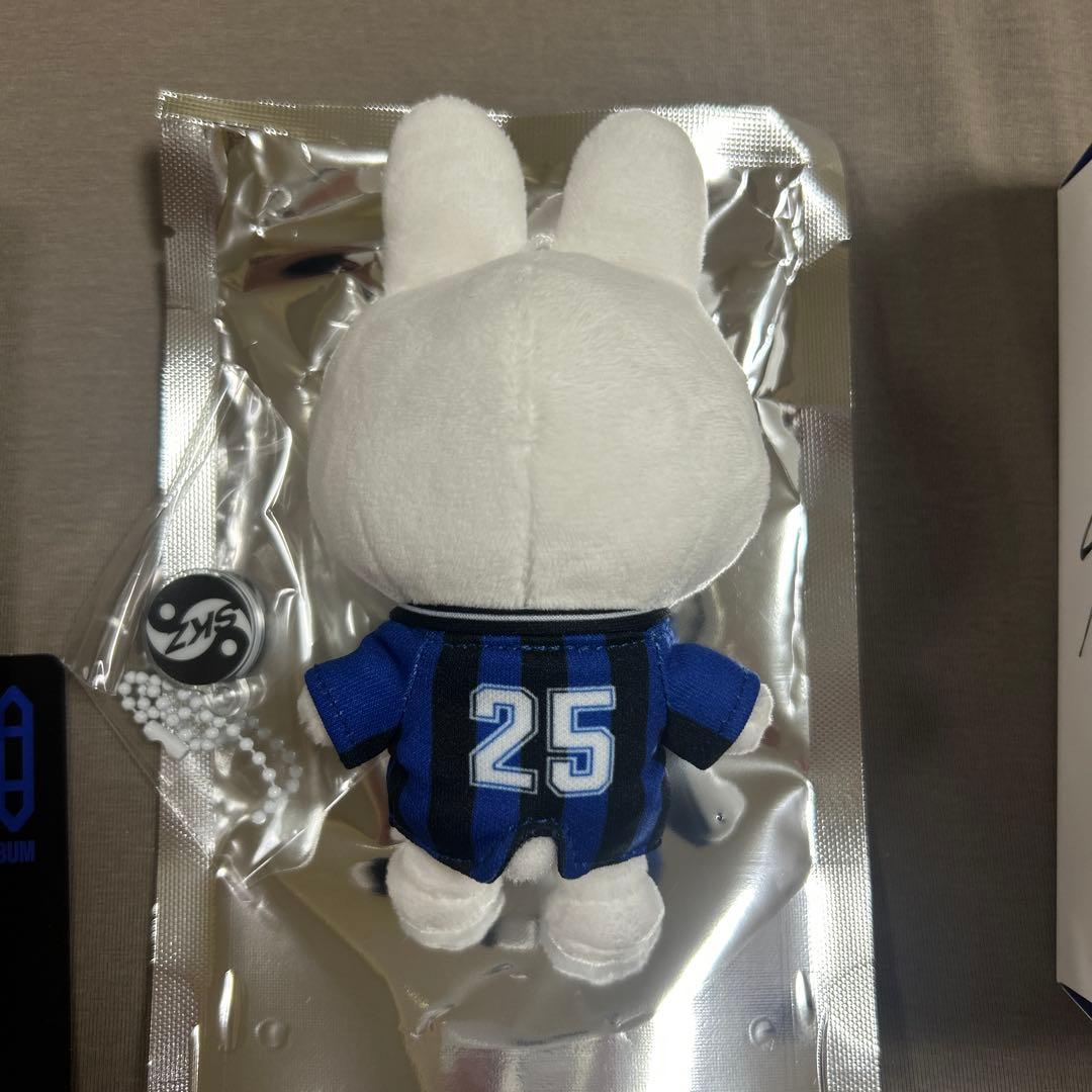 Stray Kids KARMA リノ リービット SKZOO ver. セット