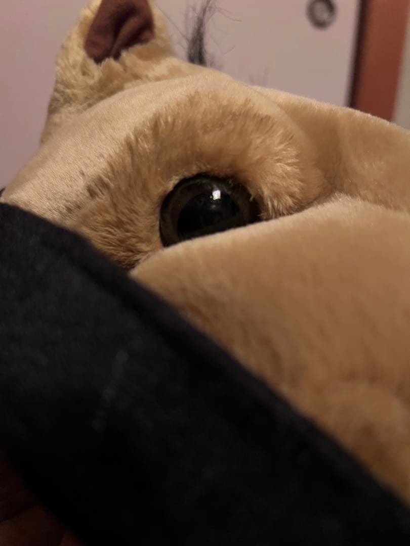 廃盤】 トイザらス Animal Alley 馬 ジャンボ ぬいぐるみ - メルカリ