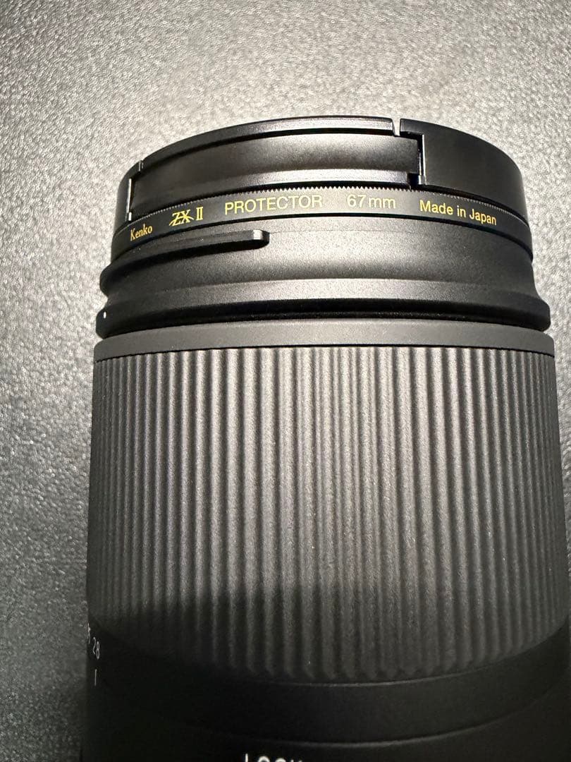 SONY用　TAMRON 28-200mm F/2.8-5.6 ZXⅡ