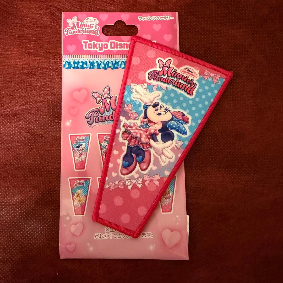 s*8様 【新品】ディズニーパルパルーザミニーのファンダーランド