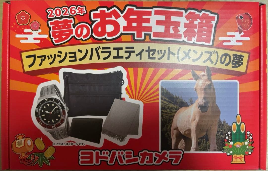 ヨドバシカメラ 夢のお年玉箱 ファッションバラエティセット(メンズ)の