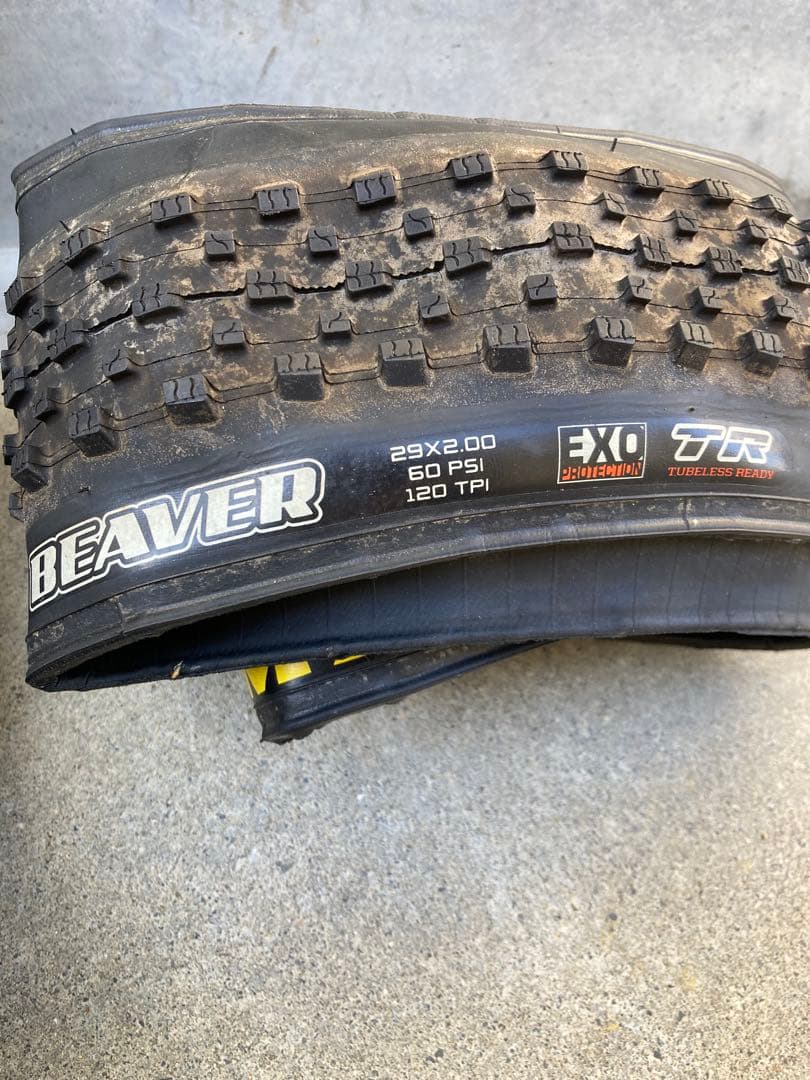 MAXXIS BEAVER 29x2 00 チュ ブレスタイヤ マキシス タイヤMAXXIS