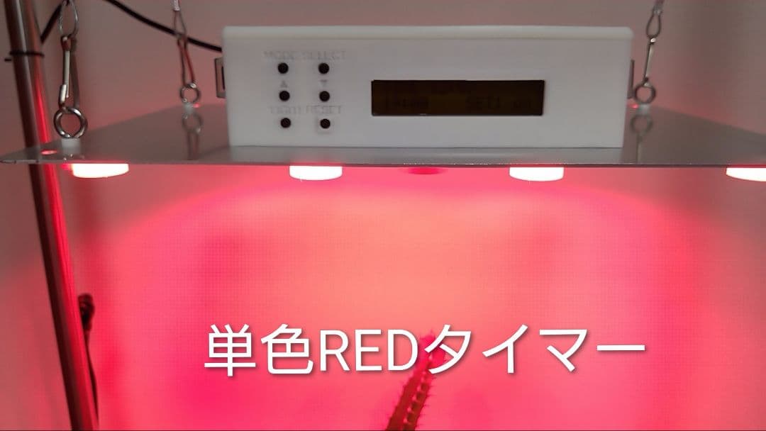 L7B】多肉&塊根育成 水槽照明 タイマー付LEDライト（DC専用）