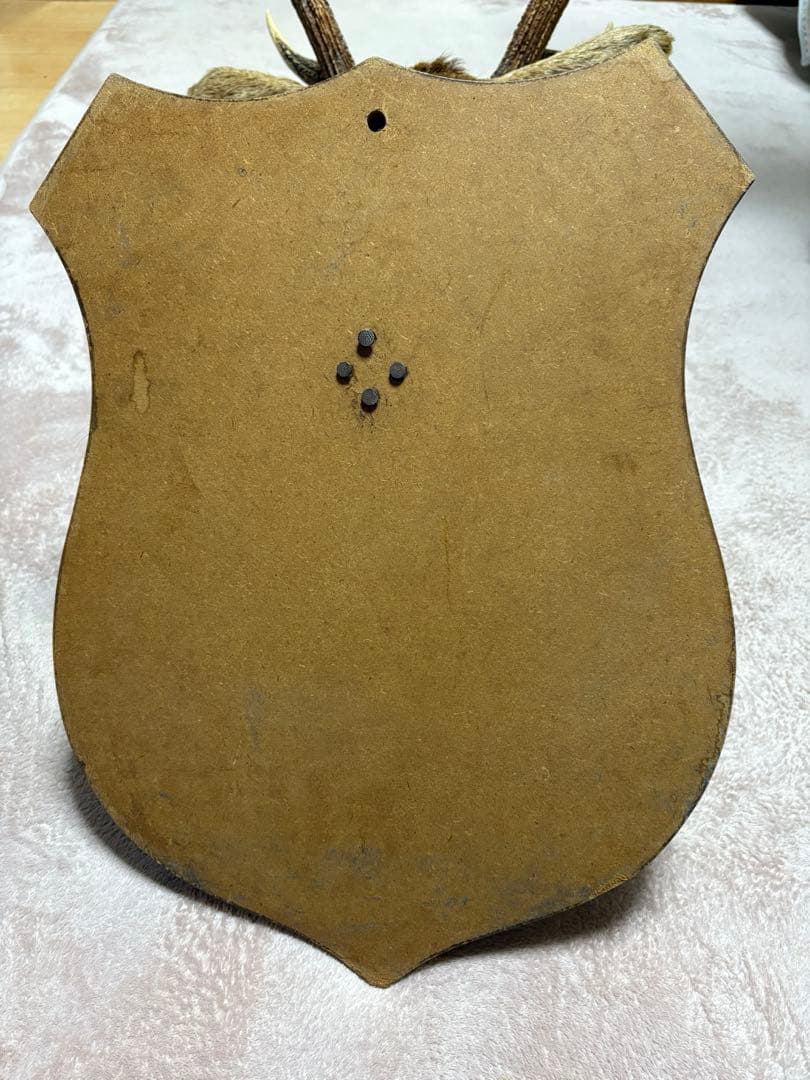 ✩.*˚鹿の剥製✩.*˚