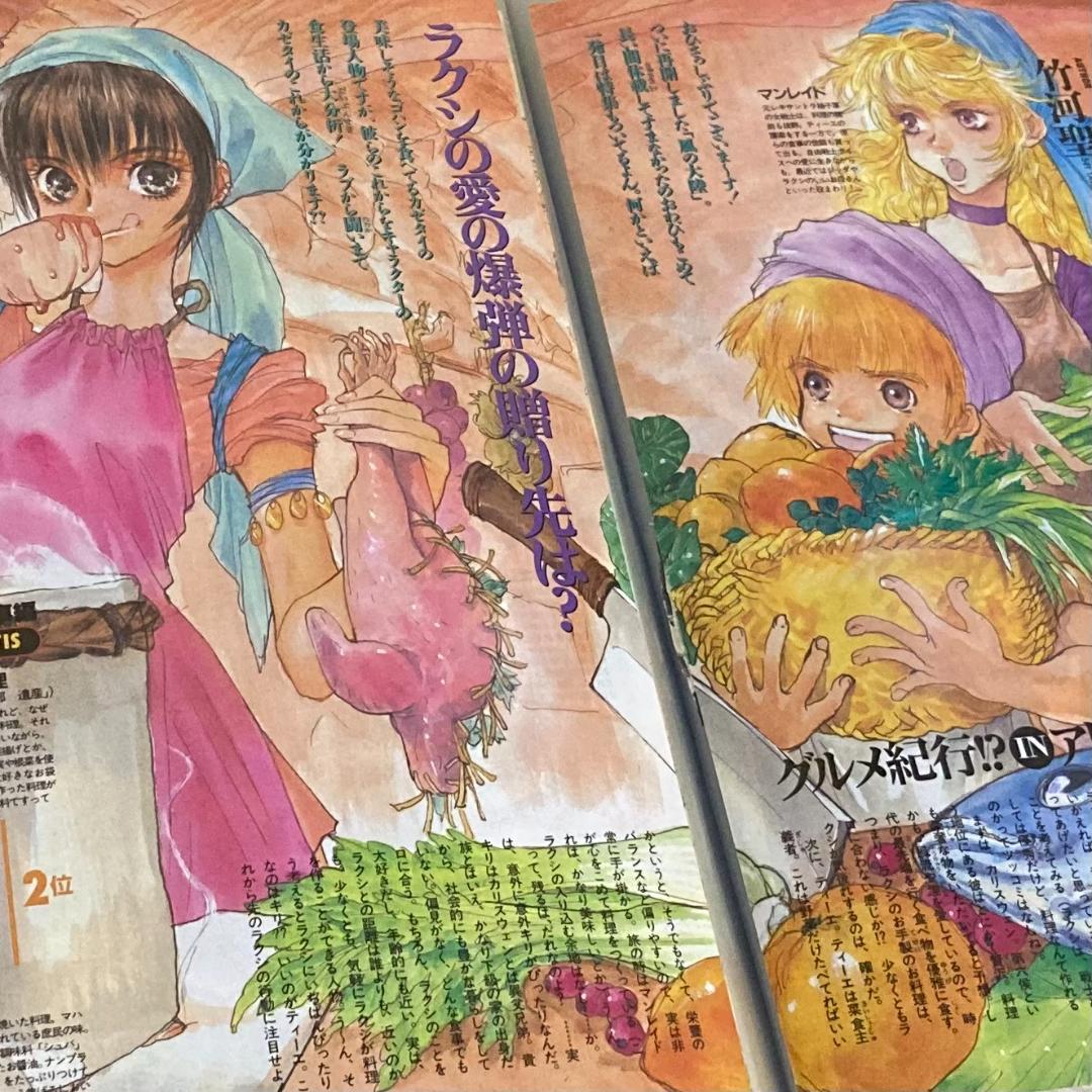 風の大陸 1～19，22～28巻 外伝4冊 竹河聖 絵・いのまたむつみ 橋本