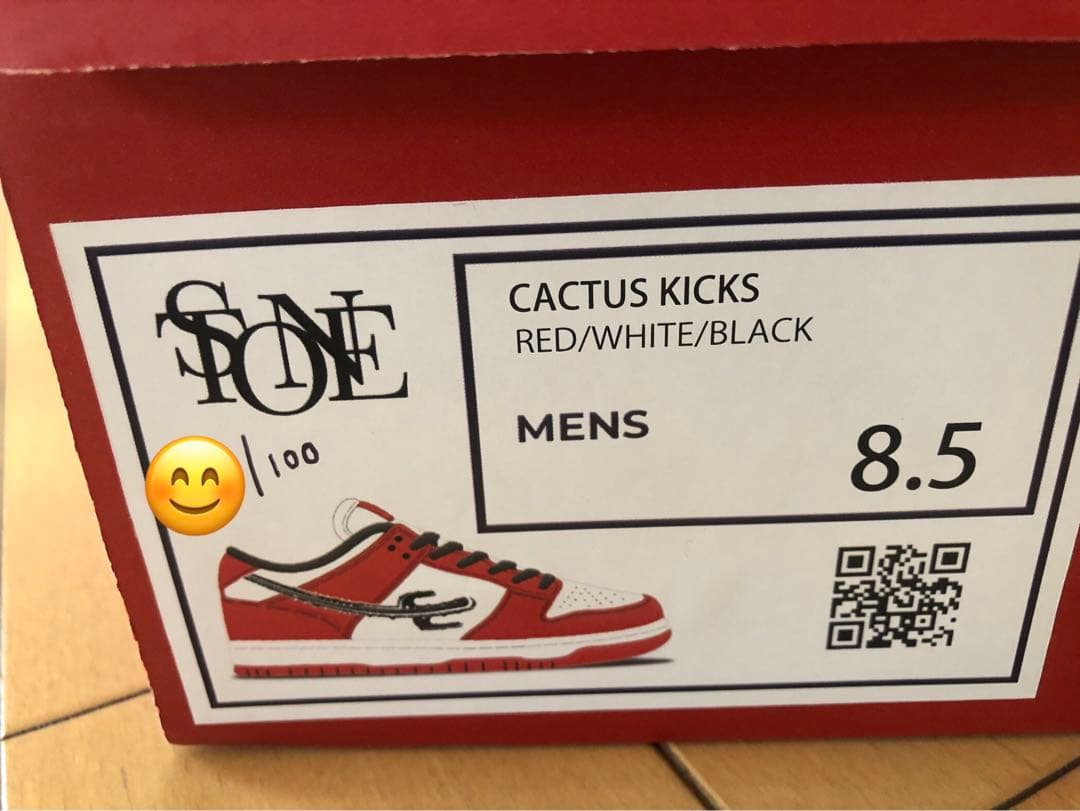 世界100足シリアルNo.入り dunk sb Chicago travis