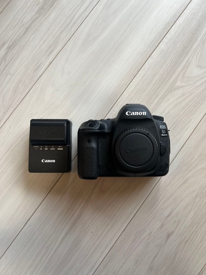 ♥ Nikon D5500 ♥カメラデビューに♥Wi-Fi &自撮り♥ ❤️️一眼