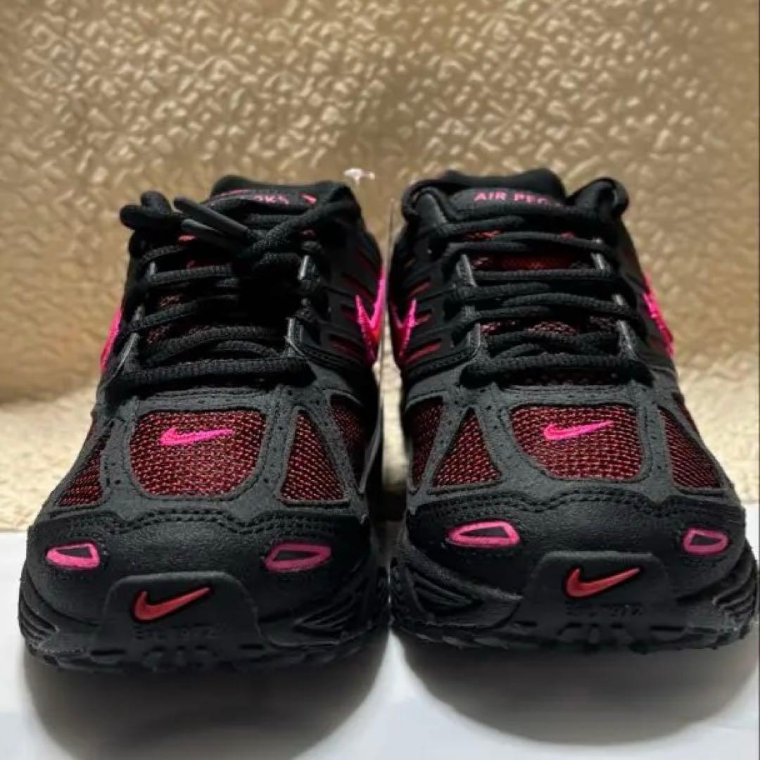 【箱付】Nike AIR PEGASUS 23.5cm