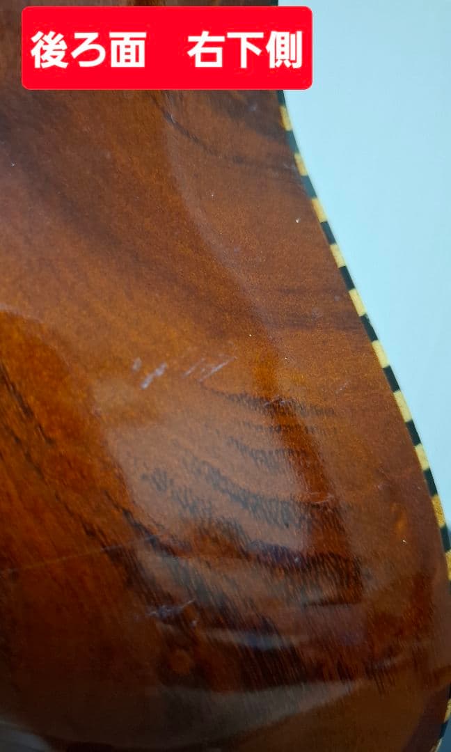 チャランゴ ガンボア ハードケース付き