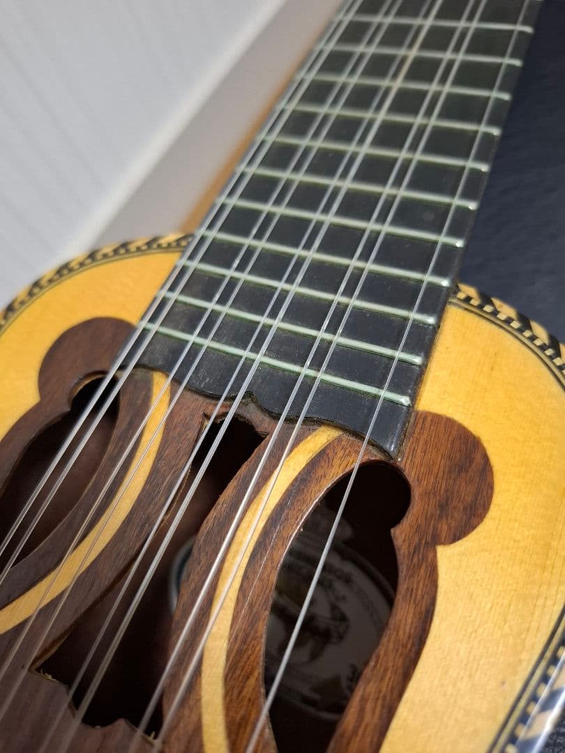 チャランゴ ガンボア ハードケース付き