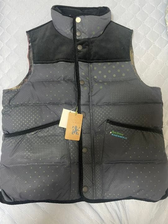 2024 ラボット 服 lovot 青 紗綾形 羽織 袴 手毬梅インナー水色