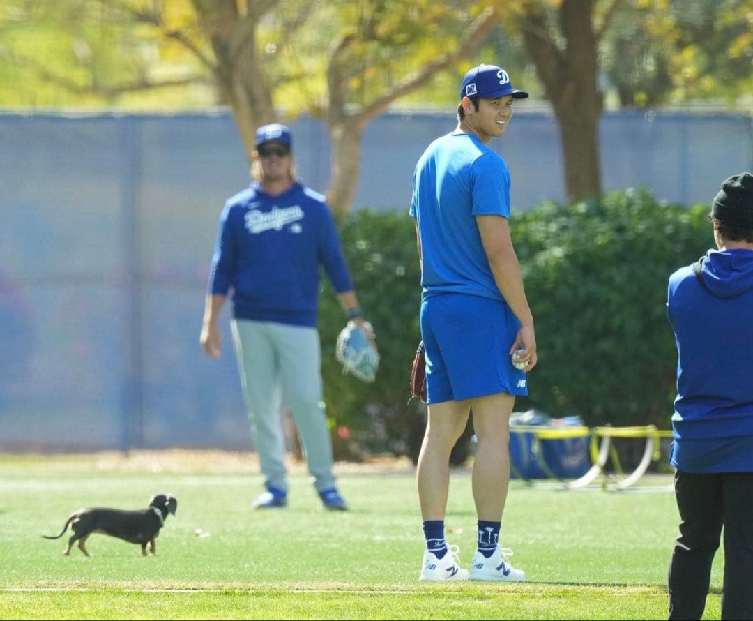 ニューバランス FUELCELL OHTANI1 Trainer ブルー大谷翔平 - メルカリ