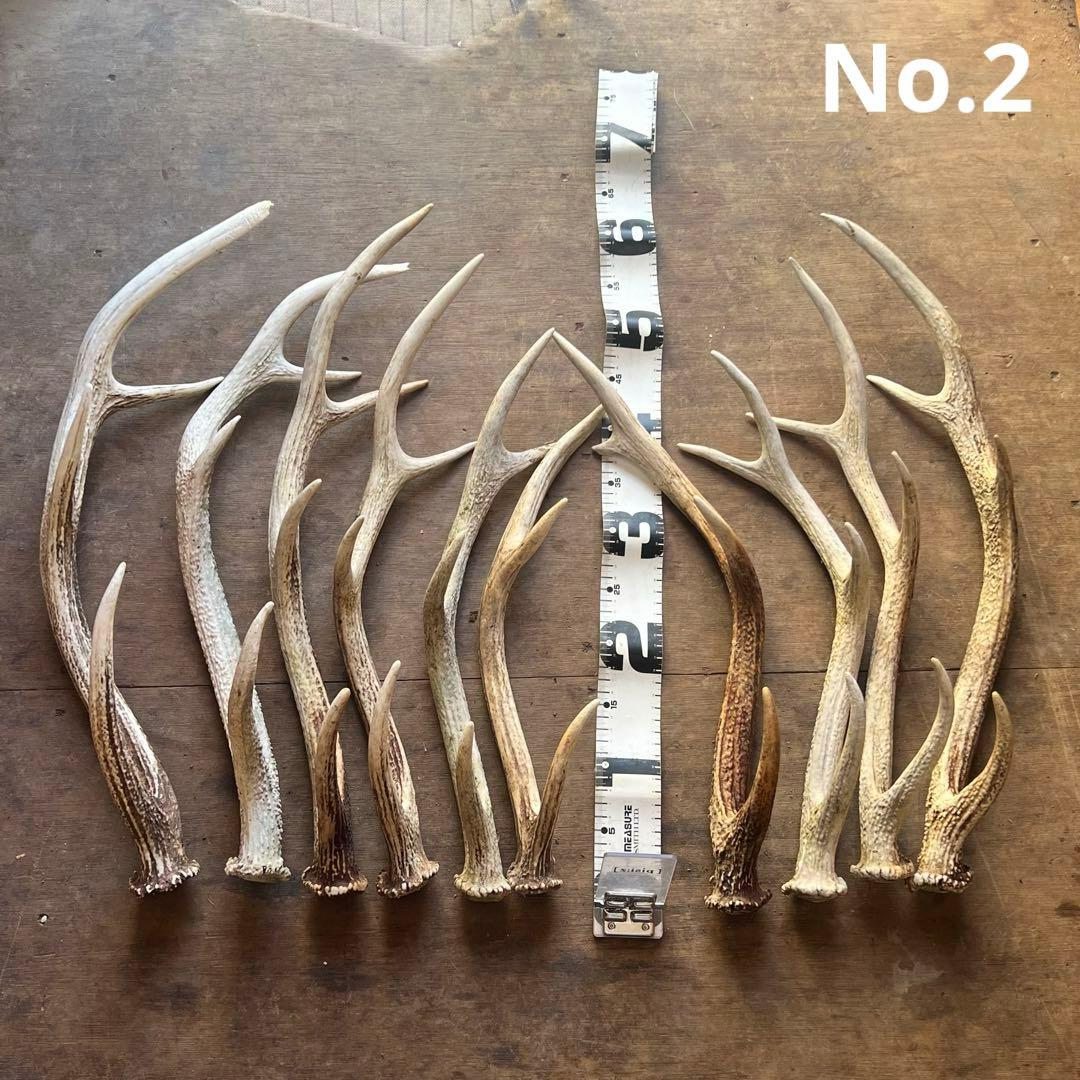 鹿の角　蝦夷鹿　10本セット　No.2 鹿の角 小型 犬 用 鹿角さん 半割り 2本セット 天然 無添加 北海道産