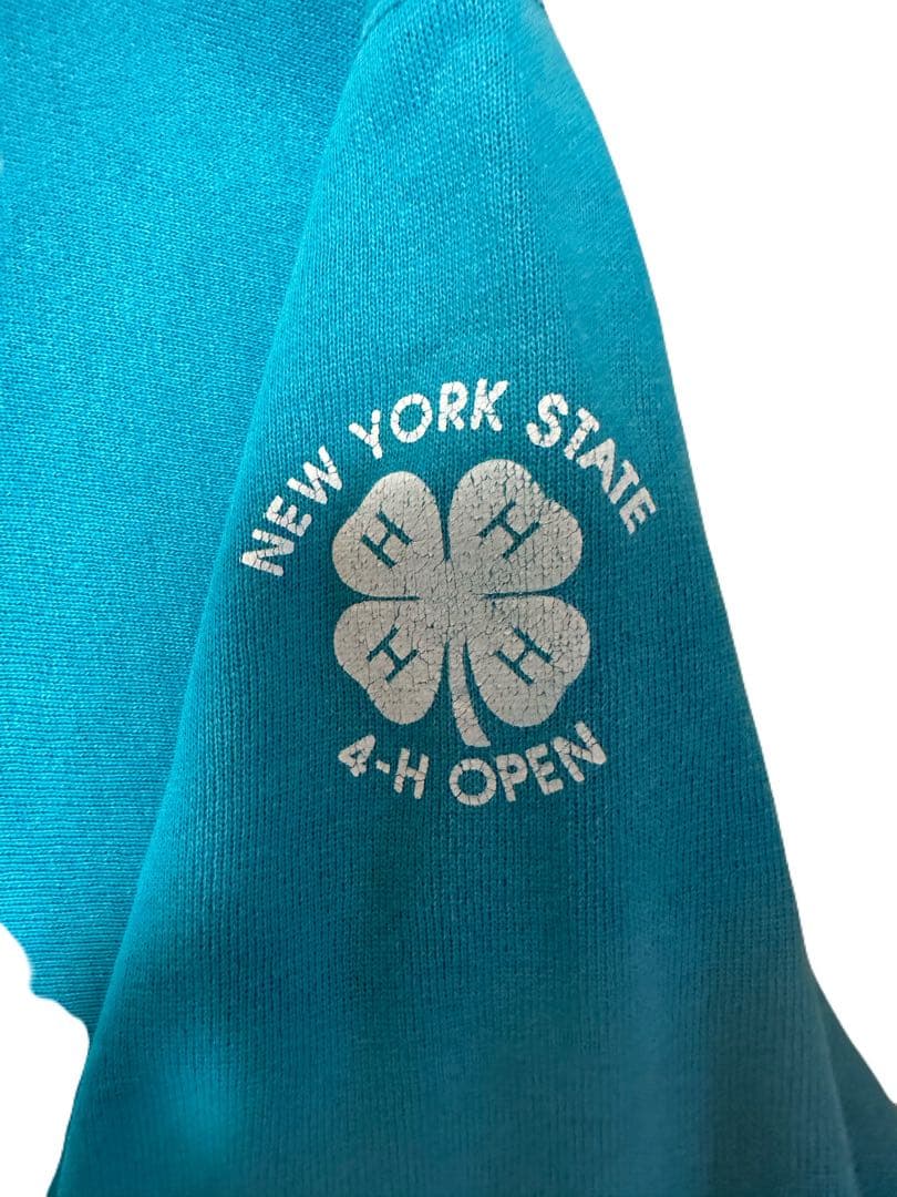 t*n様 90s USA製 チャンピオン リバースウィーブ 3段プリント