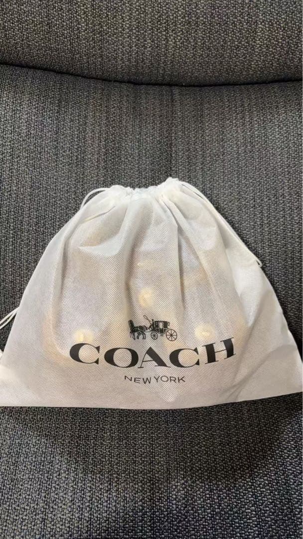 COACH ハドリー バックパック ヴィンテージ ブラウン マルチ - メルカリ