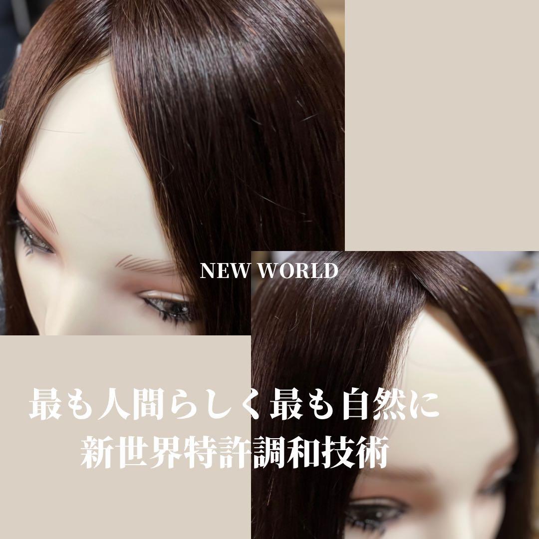 2025新世界 人毛100% フルウィッグ シルクスキン 医療ウィッグ ブラック