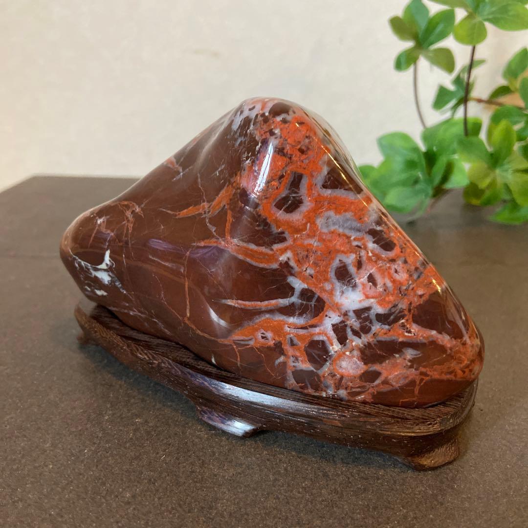 根尾雷光石 ☆ 鑑賞石 菊花石 雷光石