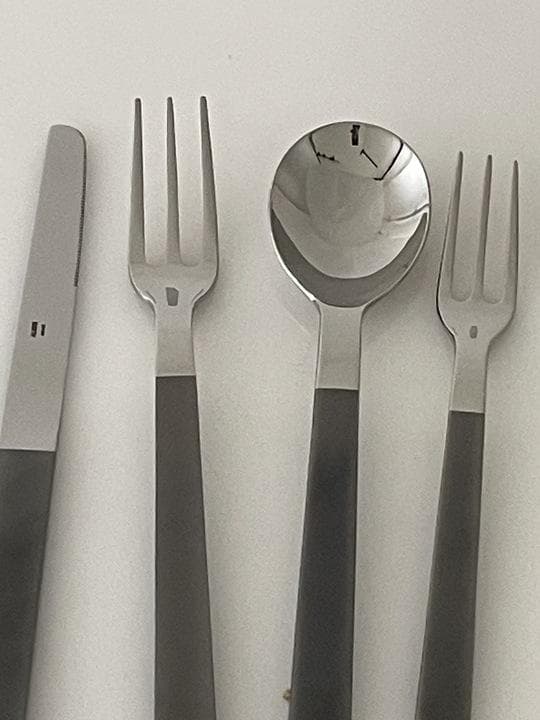 ALESSI SANTIAGOカトラリーセット DC05 ブラックハンドル - メルカリ