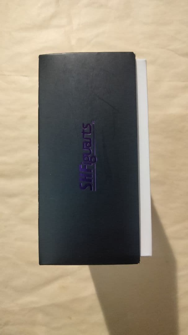 S.H.Figuarts 仮面ライダーW サイクロンジョーカー 真骨彫 風都探偵