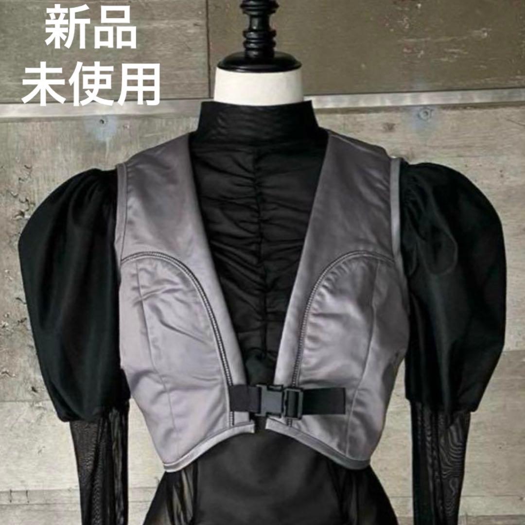 KISHIDAMIKI litmus セットアップ