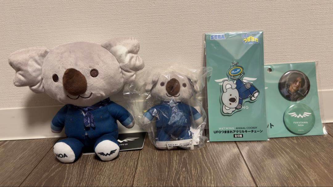 WATWING セガ　福澤希空 WATWING・福澤希空】に3つの質問♡2025年中に叶えたいことは？｜andBOY