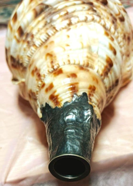 骨董ホラ貝、法螺貝 修行僧、山伏、魔除け 文字彫刻 美術品