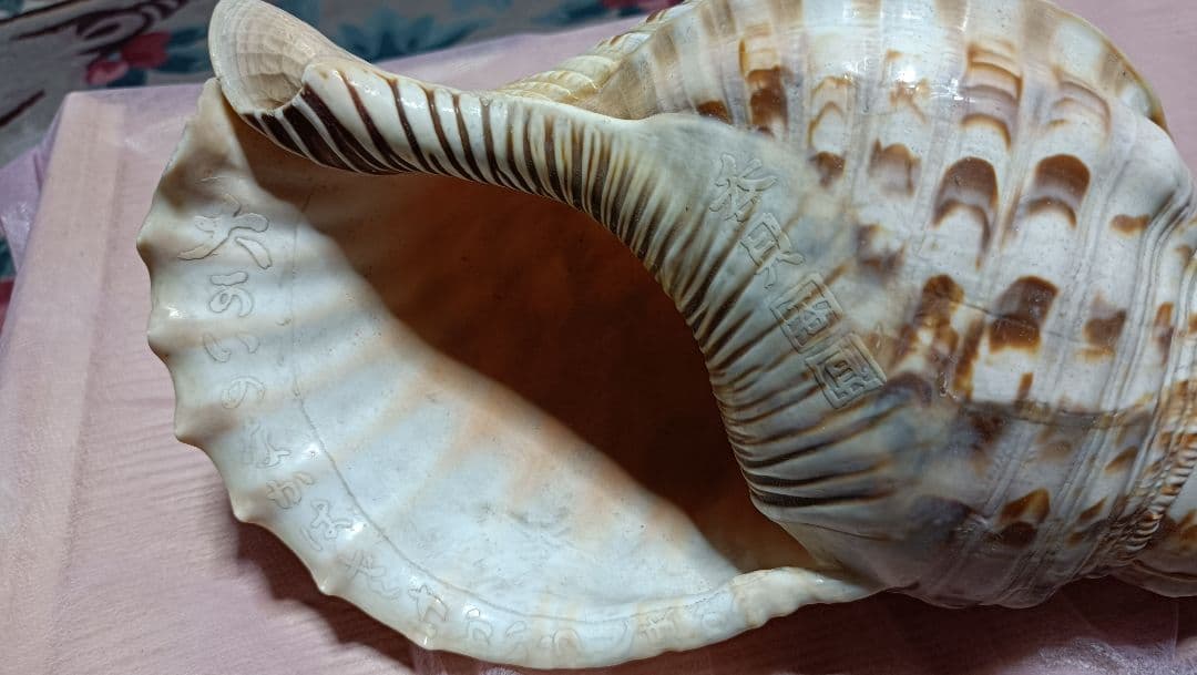 骨董ホラ貝、法螺貝 修行僧、山伏、魔除け 文字彫刻 美術品