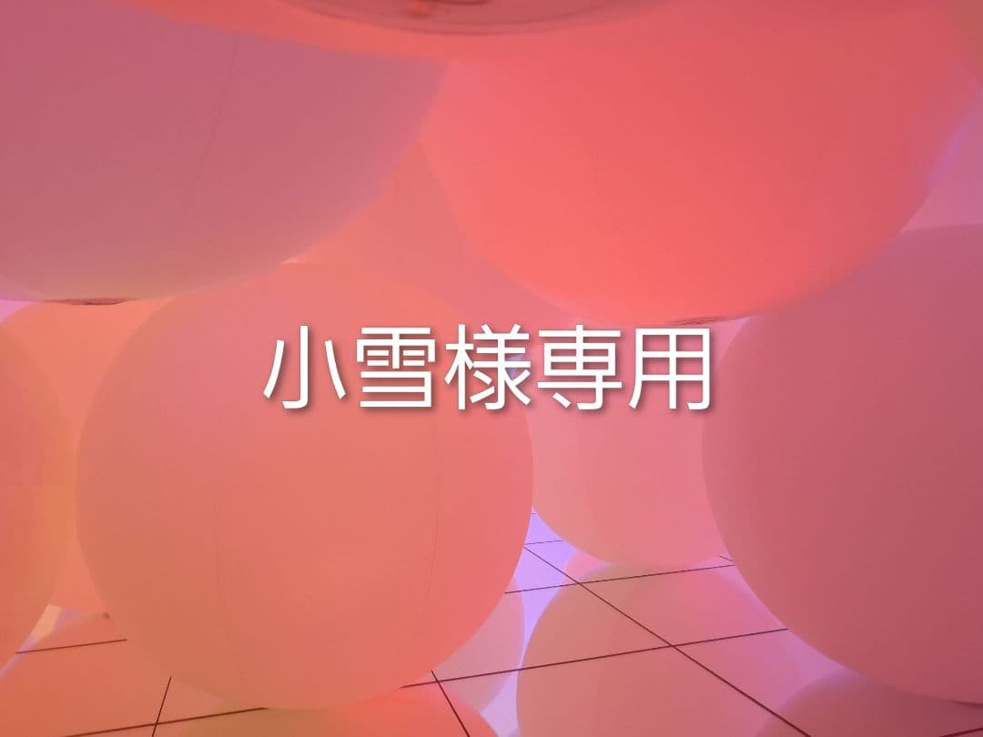 小雪 楽天市場】和同産業 除雪機 小型除雪機 SXC1280SE : 岩佐商会楽天市場店