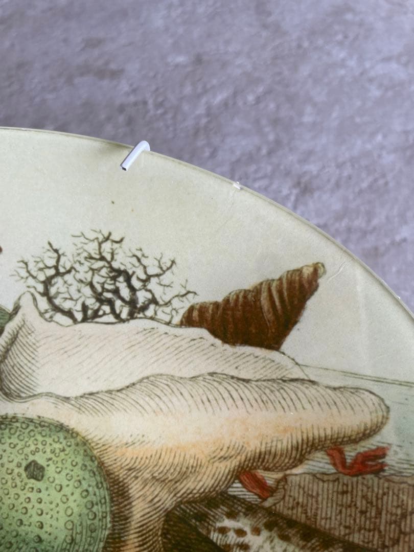 ジャンデリアン トレイ Shells, circa 1755 - メルカリ