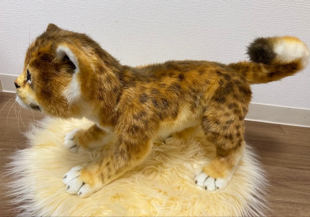 最終価格】海外作家様作 アートドール ライオンの子供 - メルカリ