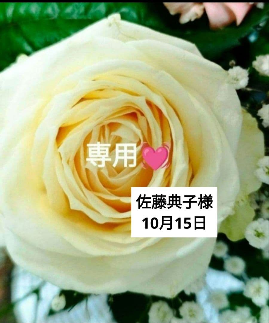【佐藤典子❤】⭐️ミッションファーストアクティブセラム2本他⭐️ 佐藤典子❤】⭐️ミッションファーストアクティブセラム2本他⭐️ 佐藤